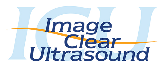 ICU-logo_blue_thumb-1